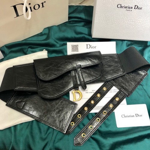 Dior Saddle Leather Belt Bag d33520 Dior Saddle Leather Belt Bag d33520